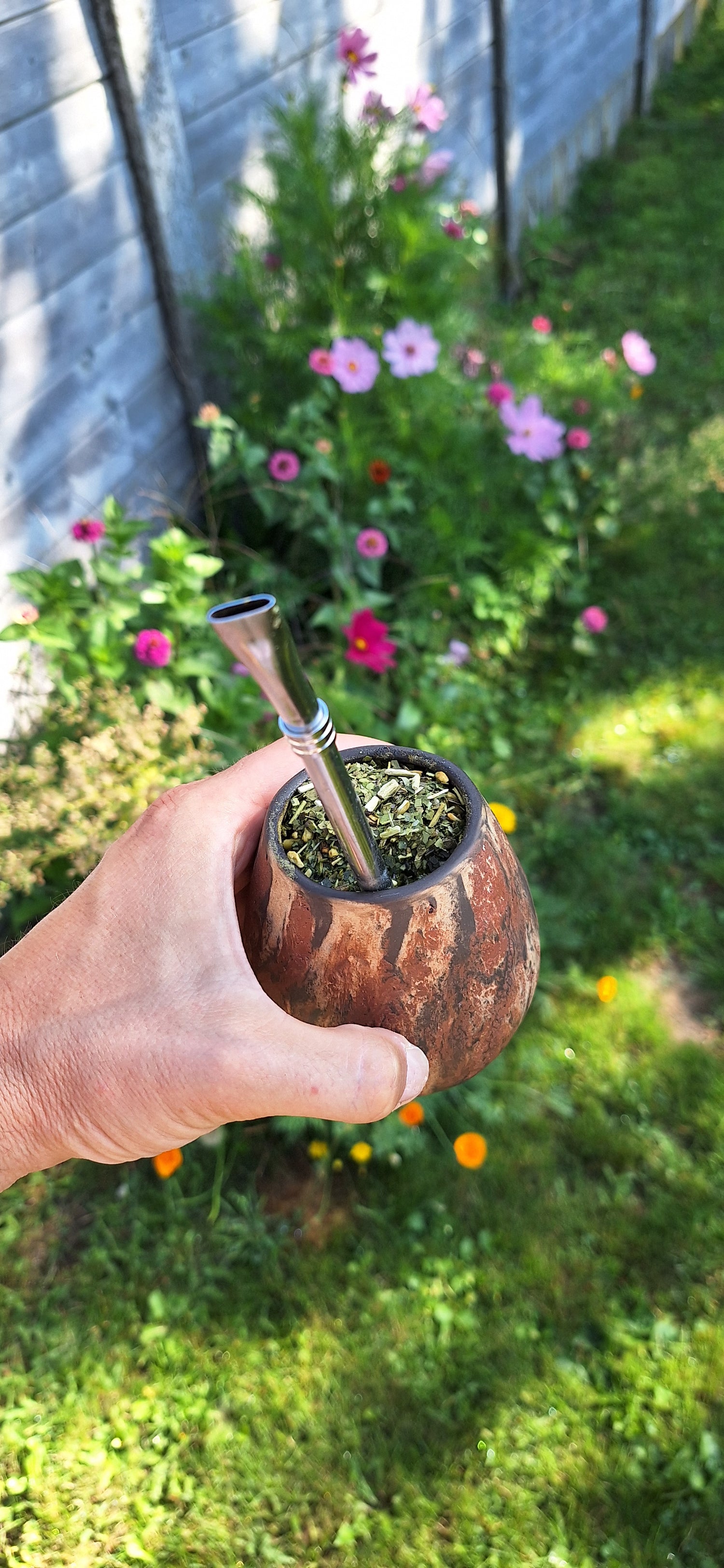 yerba mate in calabas met bombilla