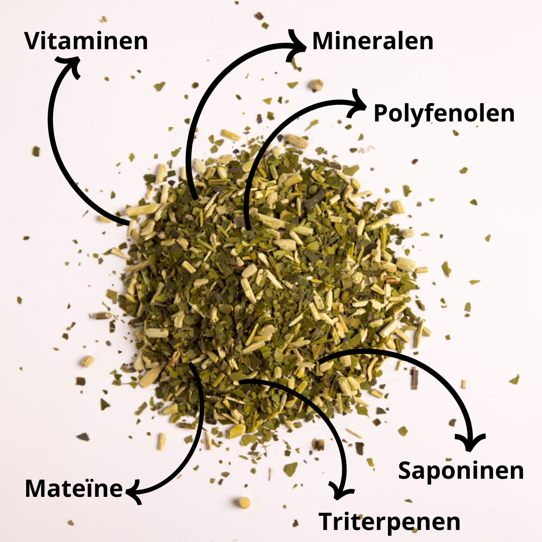 Samenstelling Yerba mate: vitaminen, mineralen, polyfenolen